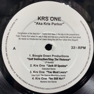 KRS-ONE / Aka Kris Parker