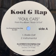 KOOL G RAP / Foul Cats 