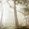空葉 / DJ 平岩克規 / MIST / MELLOW DUBBY VIBES