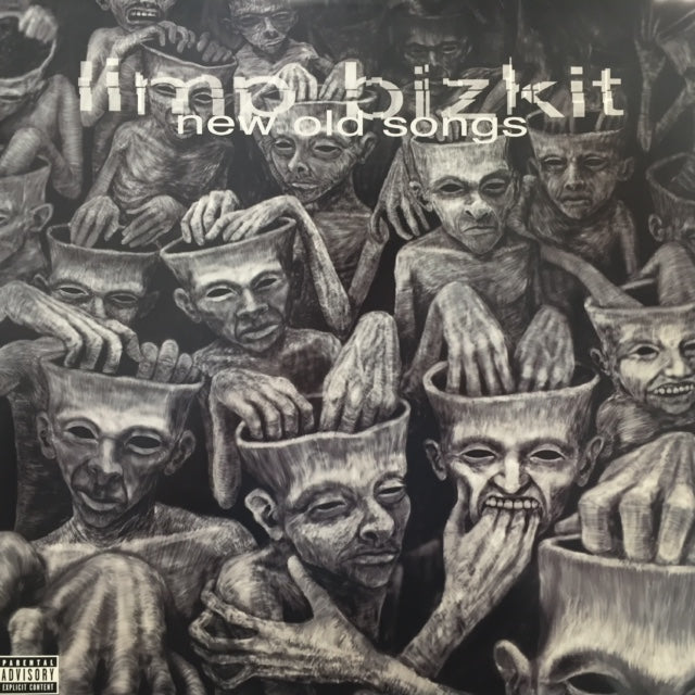 Limp Bizkit new old songs LP REMIX リンプ ビズキット 2枚組 - レコード