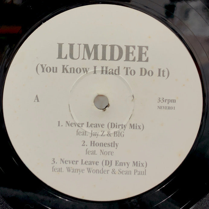 LUMIDEE / NEVER LEAVE REMIX – TICRO MARKET