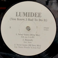 LUMIDEE / NEVER LEAVE REMIX