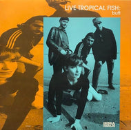 LIVE TROPICAL FISH / BUTT