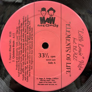 LOUIE VEGA / ELEMENTS OF LIFE