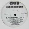 LIL' KIM / HOW MANY LICKS? REMIX
