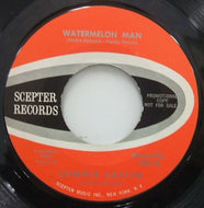 LONNIE SATTIN / WATERMELON MAN / SOUL BOSSA NOVA