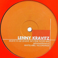 LENNY KRAVITZ / BELIEVE IN ME (SHANE 54'S PINK FLOOD MIX)
