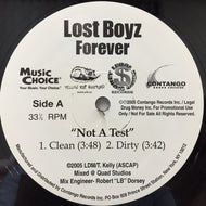 LOST BOYZ / NOT A TEST