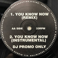 LARGE PROFESSOR / LORD FINESSE / SHOW & AG / GET OFF THAT BULLSHIT / YOU KNOW NOW (REMIX)