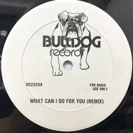 LABELLE / DOMINATRIX / WHAT CAN I DO FOR YOU (REMIX)