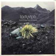 LADYVIPB / Stories Of A Broken Heart And Recovering