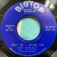 LOU JOHNSON / Anytime / What Am I Crying For