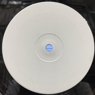 LION FIYA / Truth And Rights / Blaze Up