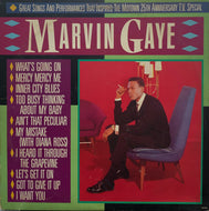 MARVIN GAYE / GREAT SONGS AND PERFORMANCES THAT〜