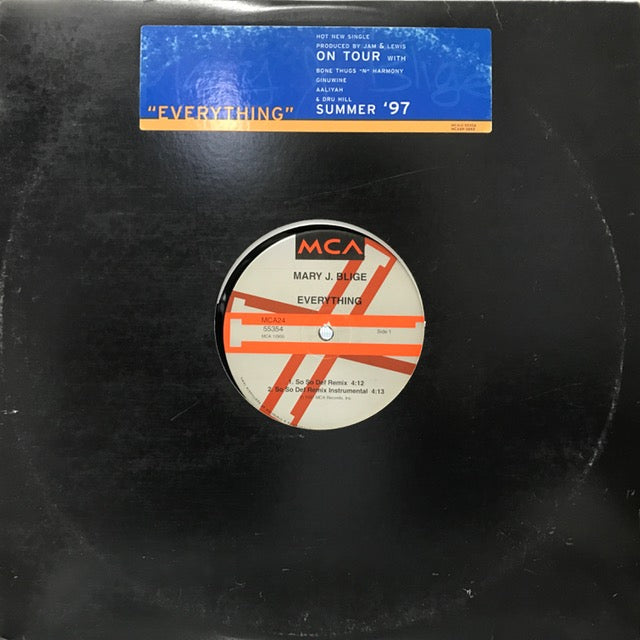 MARY J BLIGE / EVERYTHING – TICRO MARKET