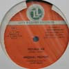 MICHAEL PROPHET / EASY MAN
