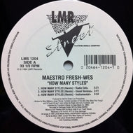MAESTRO FRESH WES / HOW MANY STYLES