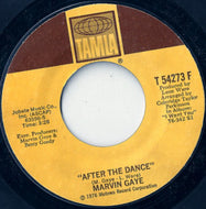 MARVIN GAYE / AFTER THE DANCE