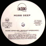 MOBB DEEP / RARE SPECIES – TICRO MARKET