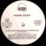 MOBB DEEP / RARE SPECIES