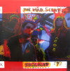 MAD SCENE / SEALIGHT