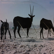 MELON / FOUR SEASONS PART 01