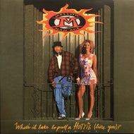 MELLOW MAN ACE / WHAT'S IT TAKE TO PULL A HOTTIE(LIKE YOU)?