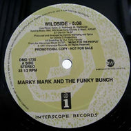 MARKY MARK AND THE FUNKY BUNCH / WILDSIDE