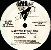 MAESTRO FRESH WES / CERTS WID OUT DA RETSYN　（us promo）