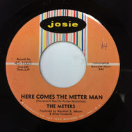 METERS / CISSY STRUT / HERE COMES THE METER MAN