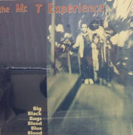 MR.T EXPERIENCE / BIG BLACK BUGS BLEED BLUE BLOOD