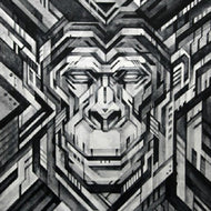 MONKEY SEQUENCE. 19 / SUBSTANTIAL 12 MONKEYS