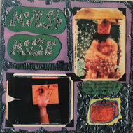 MODEST MOUSE / SAD SAPPY SUCKER