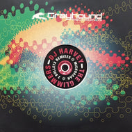 MICHOACAN / 2 BULLET REMIXES