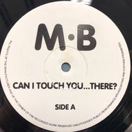 MICHAEL BOLTON / CAN I TOUCH YOU...THERE?