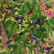 MARK BARROTT / SKETCHES FROM AN ISLAND