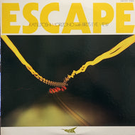 森園勝敏 WITH BIRD'S EYE VIEW  / ESCAPE