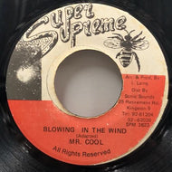 MR.COOL / Blowing In The Wind