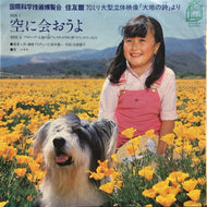 モモ / 空に会おうよ 