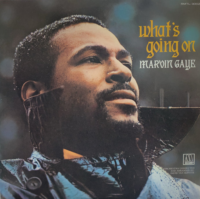 MARVIN GAYE / What's Going On 愛のゆくえ 