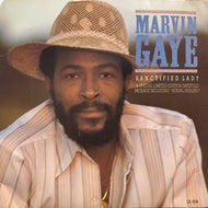 MARVIN GAYE / Sanctified Lady / Sexual Healing