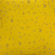 MISTER WATER WET / Bought The Farm