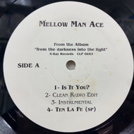 MELLOW MAN ACE / Is It You? / Ten La Fe 