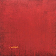 MAX LODERBAUER, CLAUDIO PUNTIN & SAMUEL ROHRER / Ambiq