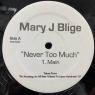 MARY J BLIGE / NEVER TOO MUCH