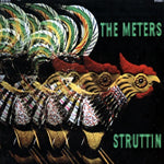 METERS / STRUTTIN
