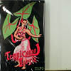 MURO / TROPICOOOOL BOOGIE