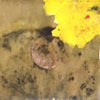MADLIB / BEAT KONDUCTA VOL.6