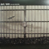 MIC JACK PRODUCTION / JAIL BIRD / PLANET ROCK