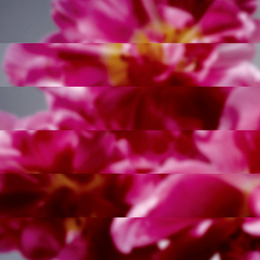 MONDO GROSSO / 何度でも新しく生まれる – TICRO MARKET